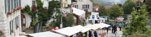 Fete du village